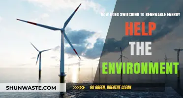 Switching to Renewable Energy: Environmental Benefits and Global Impact