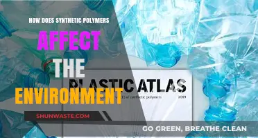 Synthetic Polymers' Environmental Impact: Pollution, Persistence, and Planetary Consequences