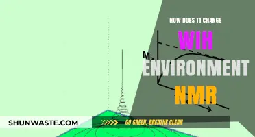 Environmental Impact on T1 Relaxation Times in NMR Spectroscopy