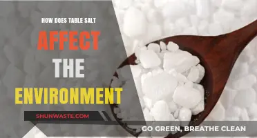 Table Salt's Hidden Impact: Environmental Consequences of a Kitchen Staple