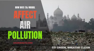 Taj Mahal: Air Pollution's Unlikely Ally