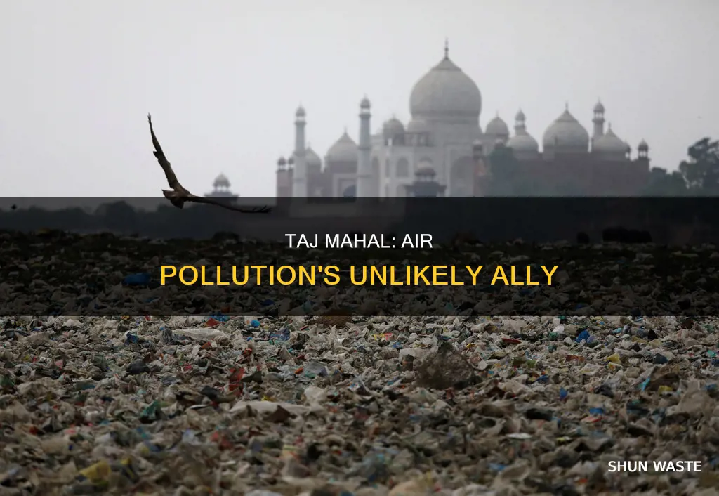 how does taj mahal affect air pollution