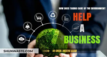 Sustainable Practices Boost Business Success and Environmental Responsibility