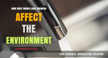 Long Showers' Hidden Costs: Environmental Impact and Sustainable Alternatives