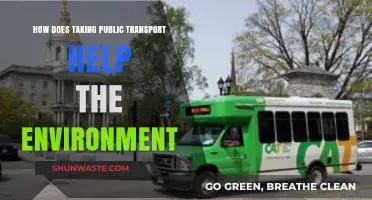Green Commute: Public Transport's Role in Reducing Environmental Impact