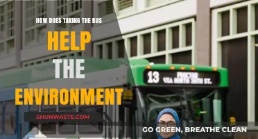 Green Commute: How Taking the Bus Benefits Our Environment