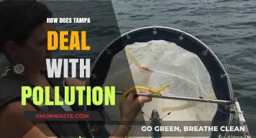 Tampa's Pollution Control: Strategies and Future Plans