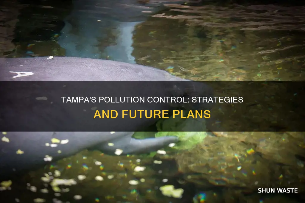 how does tampa deal with pollution