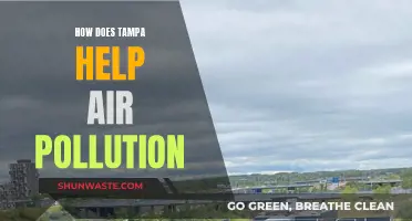 Tampa's Efforts to Combat Air Pollution