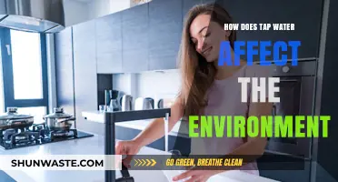 Tap Water's Environmental Impact: A Hidden Threat to Our Planet