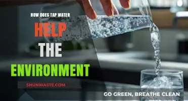 Eco-Friendly Hydration: Tap Water's Surprising Environmental Benefits Explained