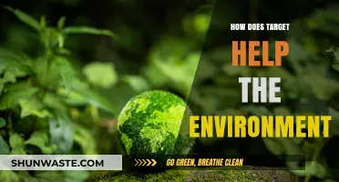 Target's Green Initiatives: Sustainable Practices for a Healthier Planet