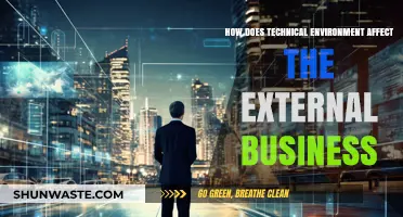 How Technical Environment Shapes External Business Dynamics and Outcomes