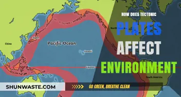 Tectonic Plates: Shaping Landscapes, Climate, and Ecosystems Globally