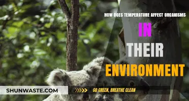Temperature's Impact: How Heat and Cold Shape Organisms' Survival Strategies