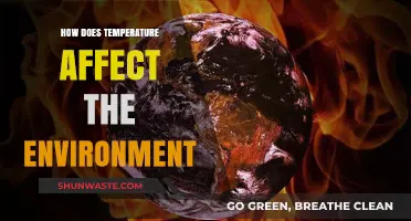 Temperature's Impact: Shaping Ecosystems, Climate, and Environmental Balance