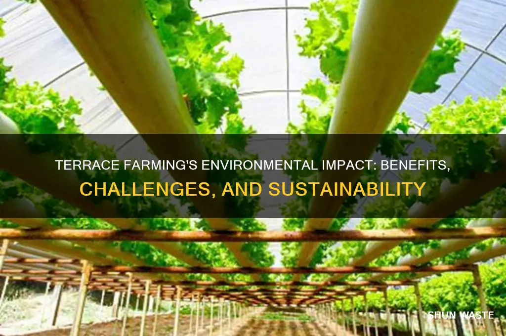 how does terrace farming impact the environment