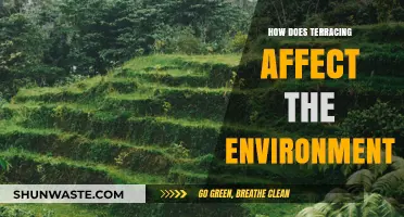 Terracing's Impact: Environmental Benefits and Challenges Explained