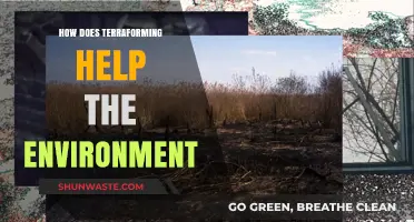 Terraforming: A Revolutionary Approach to Environmental Restoration and Sustainability