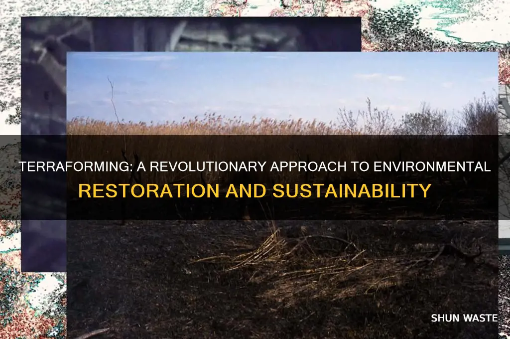 how does terraforming help the environment