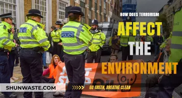 Terrorism's Environmental Toll: Exploring the Devastating Ecological Consequences
