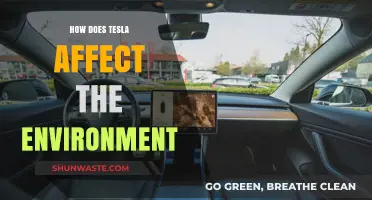 Tesla's Environmental Impact: Sustainable Innovation or Greenwashing Debate?