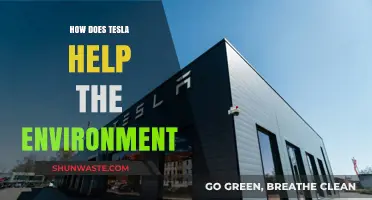 Tesla's Green Impact: Sustainable Energy, Reduced Emissions, and Eco-Friendly Innovation