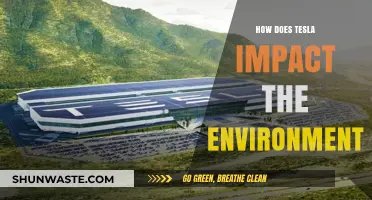 Tesla's Environmental Impact: Sustainable Innovation or Greenwashing?