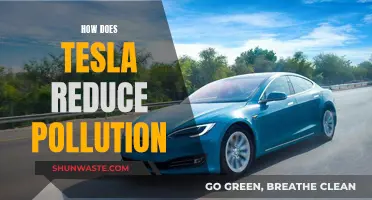 Tesla's Innovative Approach to Pollution Reduction