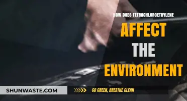Tetrachloroethylene's Environmental Impact: Pollution, Health Risks, and Ecosystem Threats