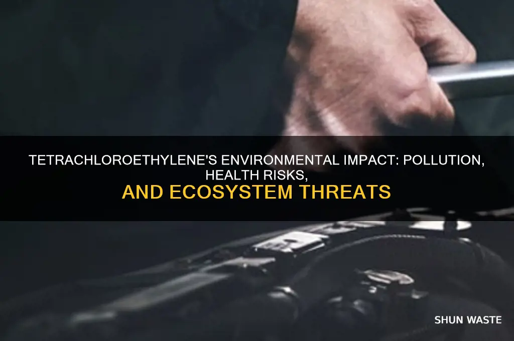 how does tetrachloroethylene affect the environment