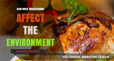 Thanksgiving's Environmental Impact: Food Waste, Travel, and Sustainability Challenges