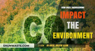 Thanksgiving's Environmental Footprint: Food, Travel, and Sustainability Explored