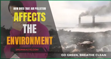 Air Pollution's Environmental Impact: A Global Concern