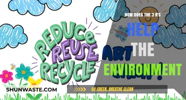 Reduce, Reuse, Recycle: How the 3 R's Protect Our Environment