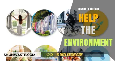 Reduce, Reuse, Recycle: The 3Rs' Impact on Environmental Sustainability