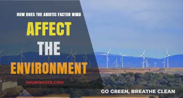 Wind's Impact: Shaping Ecosystems and Environmental Dynamics Through Abiotic Forces