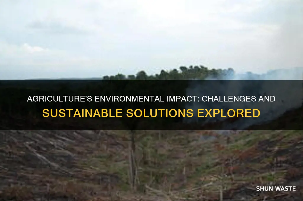 how does the agriculture industry affect the environment