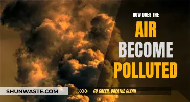 Air Pollution: Understanding the Causes of Contaminated Air