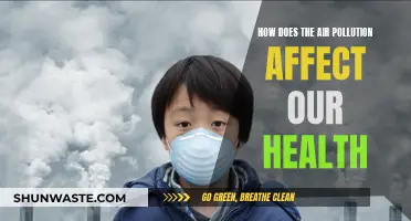 Air Pollution's Impact: Our Health at Risk