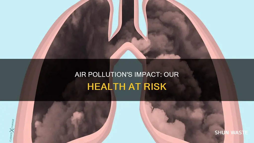 how does the air pollution affect our health