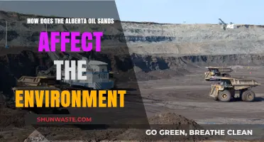 Alberta Oil Sands: Environmental Impacts and Ecological Consequences Explored