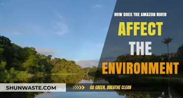 Amazon River's Impact: Shaping Ecosystems and Global Environmental Balance
