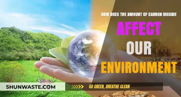 Carbon Dioxide's Impact: How Rising Levels Threaten Our Environment