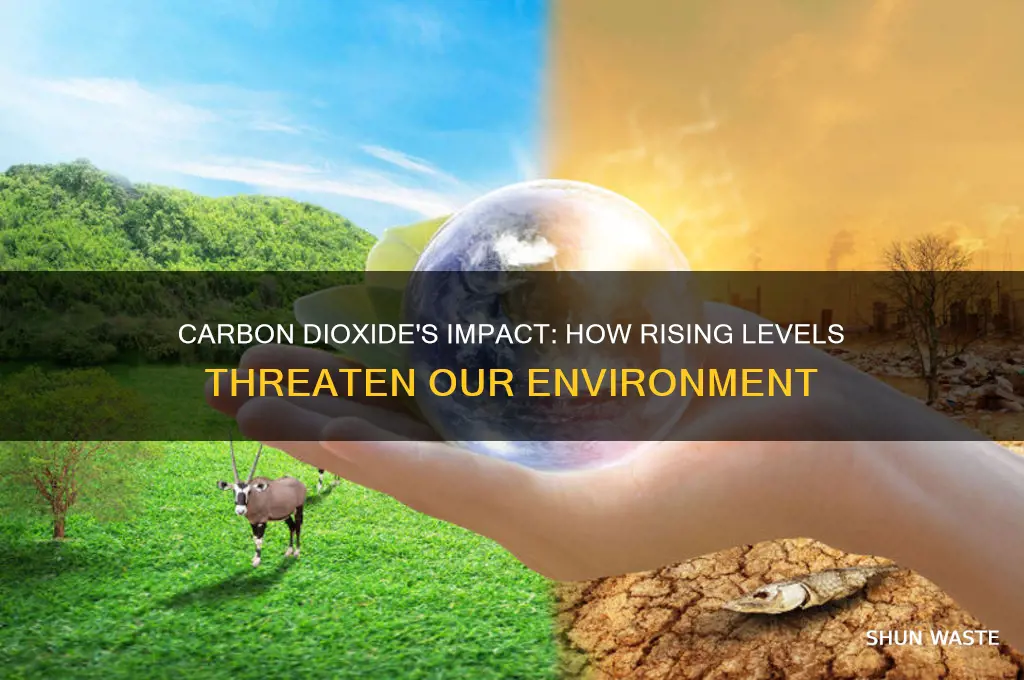 how does the amount of carbon dioxide affect our environment