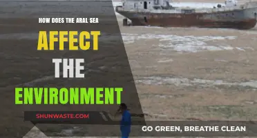 The Aral Sea's Environmental Impact: A Case Study in Ecological Devastation