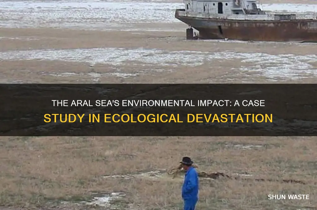 how does the aral sea affect the environment