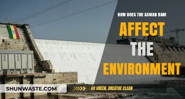 Aswan Dam's Environmental Impact: Challenges and Consequences Explored