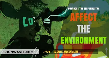 Beef's Environmental Impact: Climate, Land Use, and Sustainability Explained