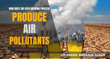 Brewing's Air Pollution: What's in the Air We Breathe?